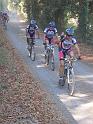 MTBTOSCANA2011  (247)
